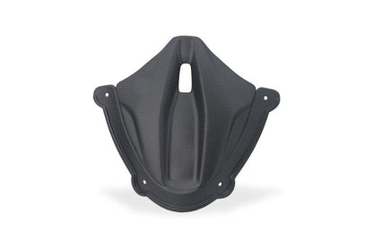 Mat carbon paneel onder het windscherm Ducati Panigale V4 Tricolore Italia (2025+)
