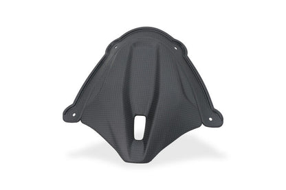 Matt carbon panel under the windshield Ducati Panigale V4 (2025+)