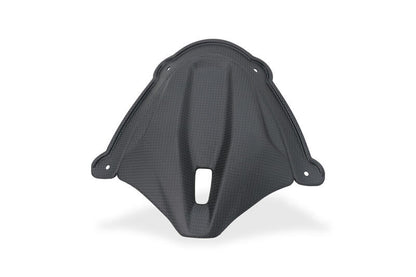 Mat carbon paneel onder het windscherm Ducati Panigale V4 Tricolore (2025+)