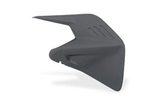 Matte Carbon Swingfish Deckung Ducati Panigale V4 (2025+)
