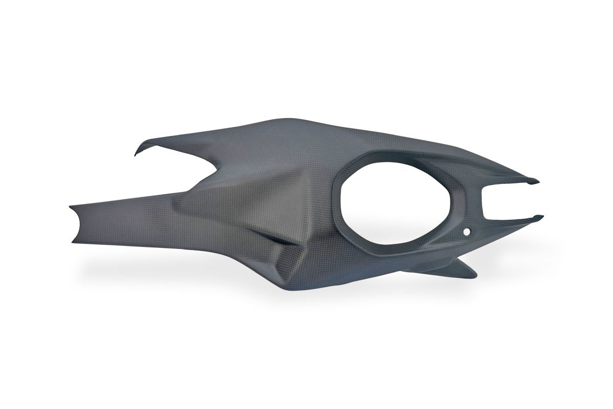 Carbon swingarm covers links en rechts – Ducati Panigale V4 (2027+)