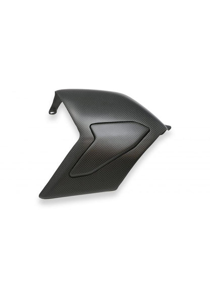 Matt carbon swingarm cover Panigale V4 V4S