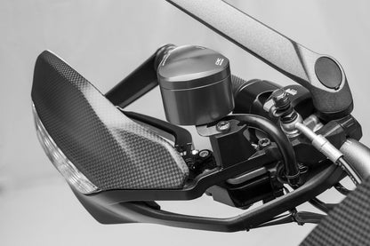 Bovenste handkap mat carbon Ducati Multistrada 1200S Pikes Peak (2016-2017)