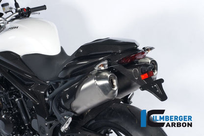 Complete Tail Section incl. License Plate Support Speed ​​Triumph Speed ​​Triple (2011-2015)