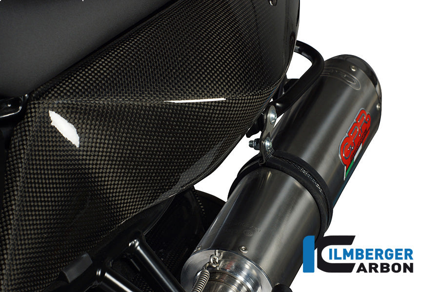 Panel lateral de carbono debajo del asiento - Lado izquierdo - BMW F 800 R (2015-2019)