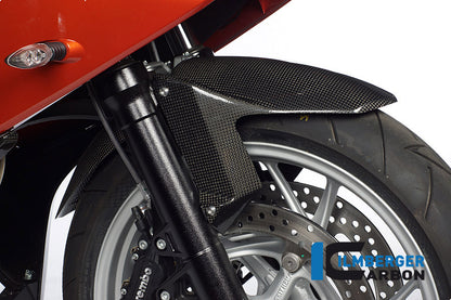 Front Fender Carbon F800R 2012- BMW F 800 R (2012-2014)