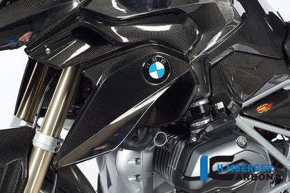 Inmirador de aire Lado izquierdo Carbon R1200GS LC 2013-2016 BMW R 1200 GS LC (2013-2016)