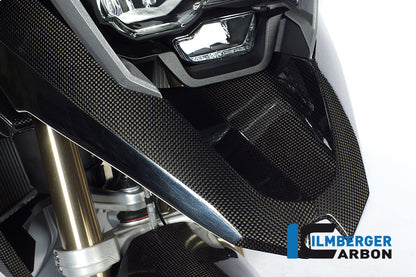 Front Fender 'Beak' Carbon R1200GS LC 2013-2016 BMW R 1200 GS LC (2013-2016)