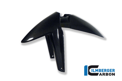 Front Fender Carbon R1200GS LC 2013-2018 BMW R 1200 GS LC (2017-2018)