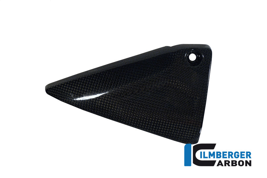Side panel Frame Links Carbon R1200GS LC 2013- BMW R 1200 GS LC (2017-2018)