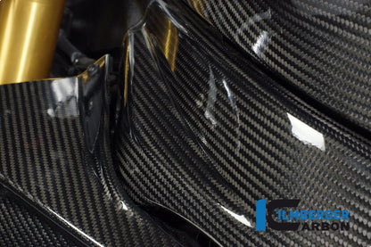 Framecover Links BMW S 1000 RR (2012-2014)