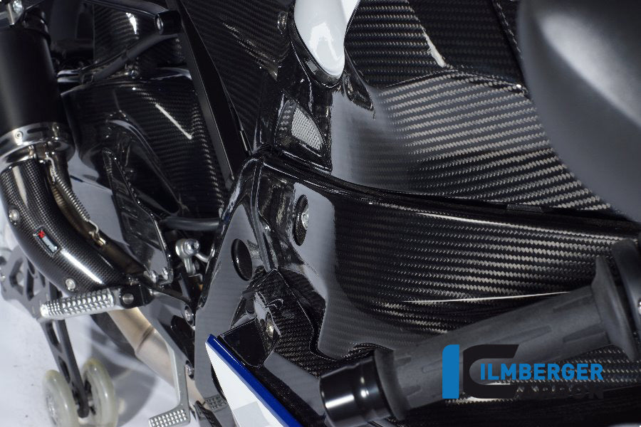 FrameCover Right BMW S 1000 RR (2012-2014)