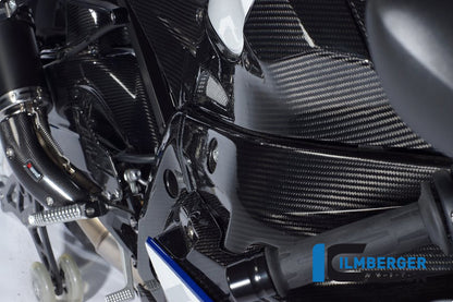 FrameCover Right BMW S 1000 RR (2012-2014)