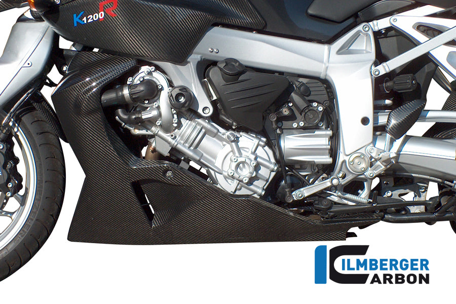 Bellypan Carbon K1300R BMW K 1300 R (2009-2016)