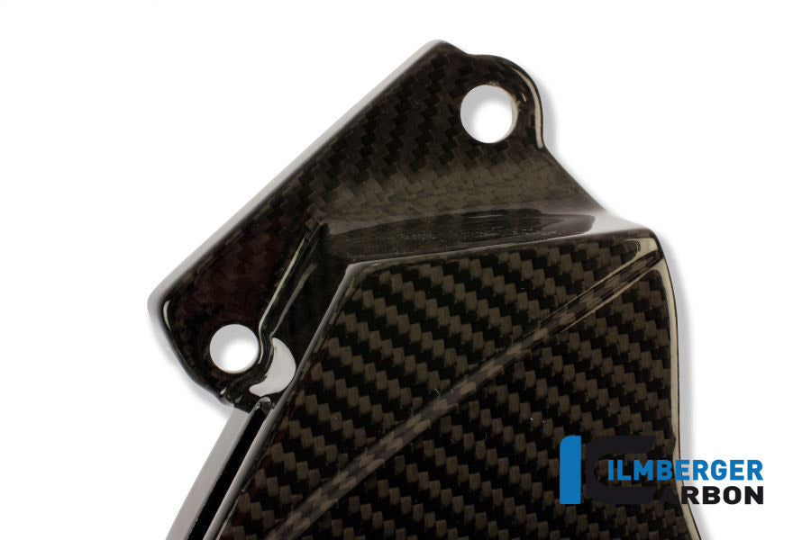 Front Sprocket Cover Carbon - BMW S1000RR Street (2017-2018)