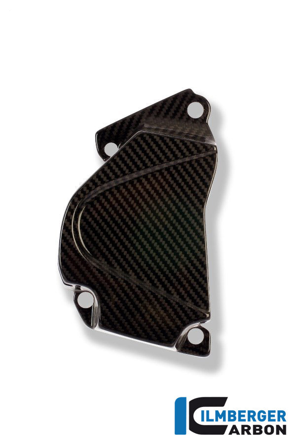 Carbon vorne - BMW S1000RR (2015-2016)