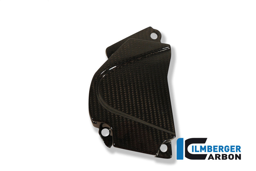 Carbon vorne - BMW S1000RR (2015-2016)