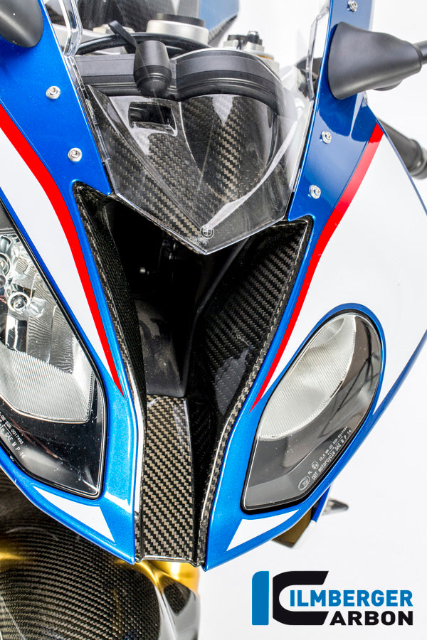 Luftintag (Front Fairing Center Piece) - BMW S1000RR (2015-2016)