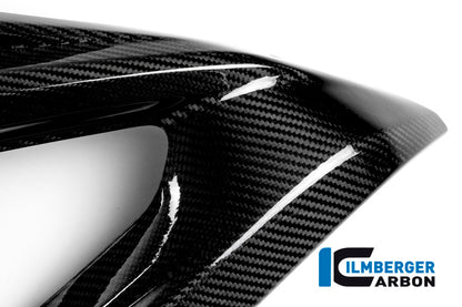 Fairing Side Panel Racing (Left Side) Carbon - BMW S1000RR Racing (2015-2016)