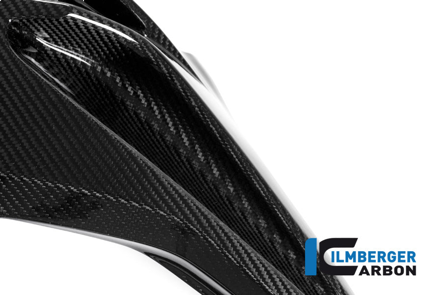 Fairing Side Panel Racing (Left Side) Carbon - BMW S1000RR Racing (2015-2016)