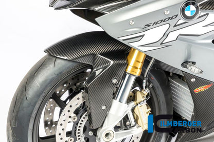 Carbon Front Fender BMW S1000RR (2010-2011)