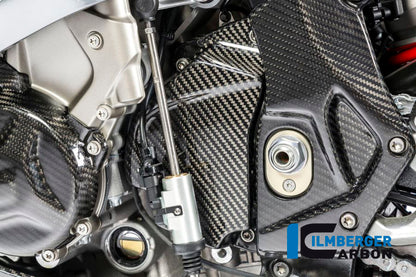 Ramskydd (vänster sida) kol BMW S1000RR (2017-2018)