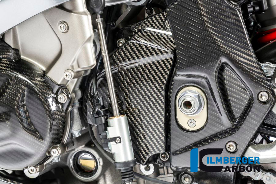 Rahmenabdeckung linke Kohlenstoff - BMW S1000RR (2015-2016)