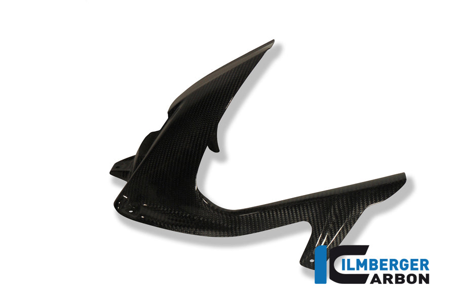 Heck -Fender (Hugger) -Versionen mit ABS - Carbon - BMW S1000RR (2010-2011)