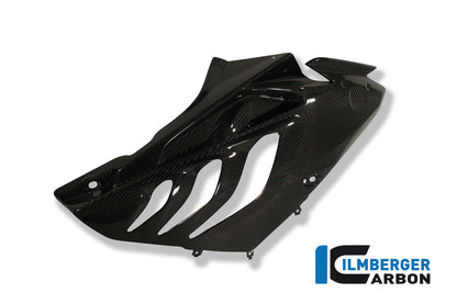 Carbon Side Cowl (Right) BMW S1000RR (2010-2011)
