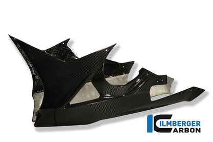 Carbon Lower Cowl (una parte) BMW S1000RR Street (2009-2011)