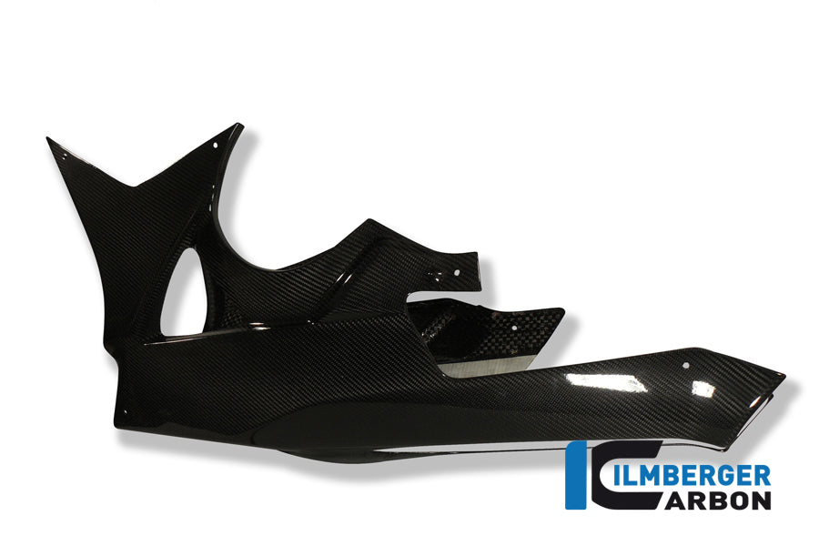 Carbon Lower Cowl (una parte) BMW S1000RR Street (2009-2011)