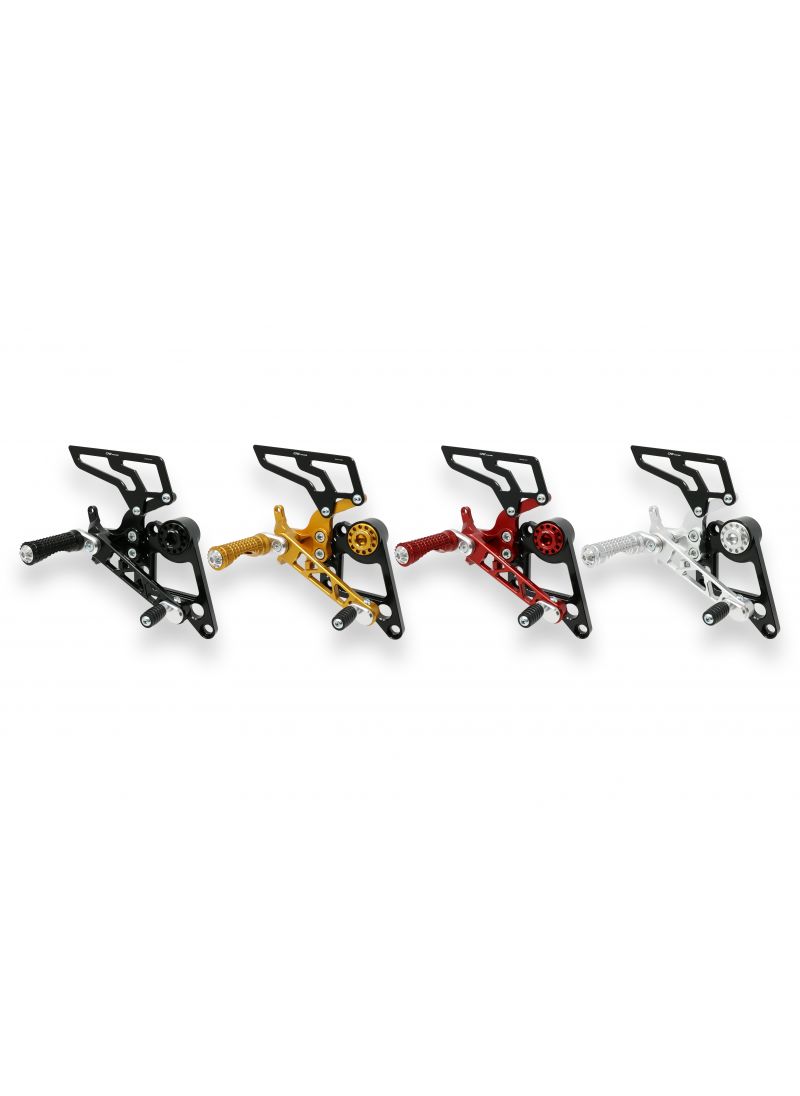 Raredset Monster 696 796 1100 1100eVo Corse Monoposto Ducati Monster 1100 (2009-2015)