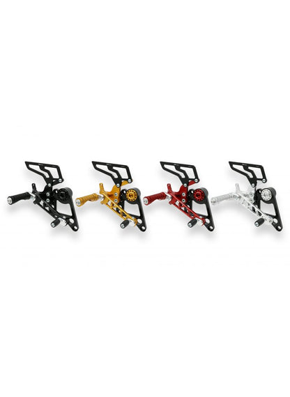 Raredset Monster 696 796 1100 1100eVo Corse Monoposto Ducati Monster 1100 (2009-2015)