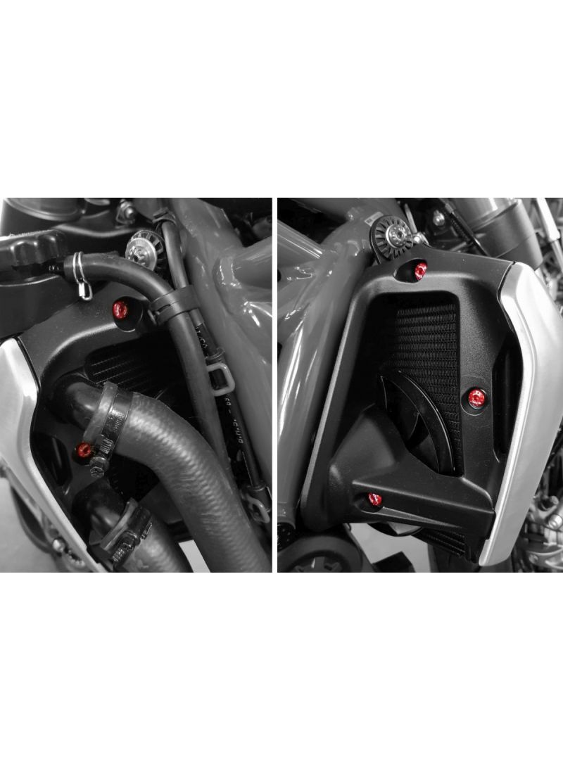 CNC Racing Radiator Side Panel Screw Kit Ducati Monster 1200 25 Anniversario (2020)