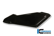 Lower Tank Covers (Set) Carbon MV Agusta Brutale 1090 R (2012-2015)