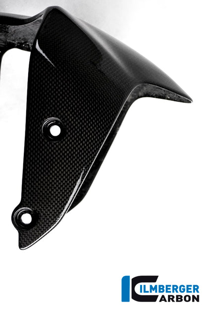 Glossy Carbon Front Fender Monster 1200 Ducati Monster 1200 s (2014-2016)