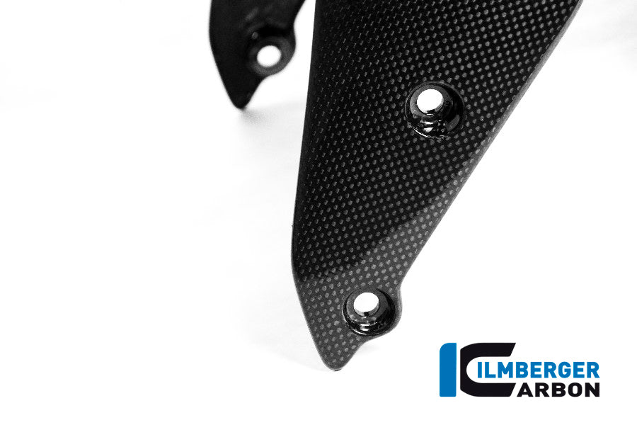 Glossy Carbon Front Fender Monster 1200 Ducati Monster 1200 s (2014-2016)