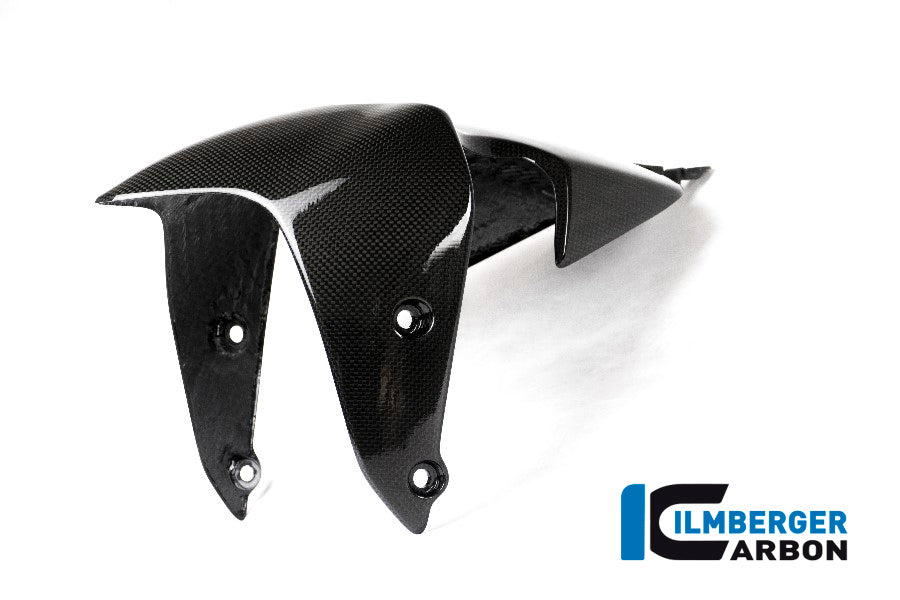 Front Mudguard - Ducati Monster 1200 2017+ Ducati Monster 1200 s (2017-2021)