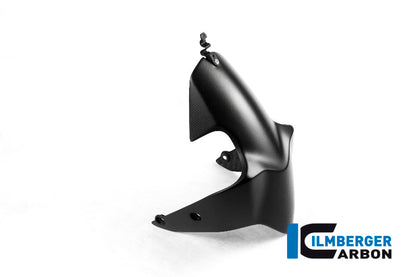 Mat Carbon Front Fender Monster 1200 Ducati Monster 1200 S (2014-2016)