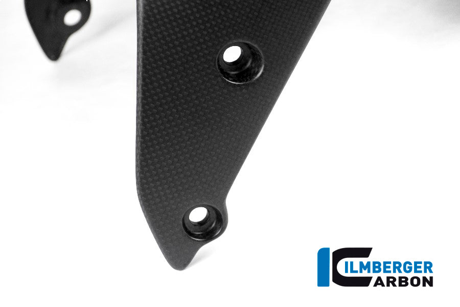 Mat Carbon Front Fender Monster 1200R Ducati Monster 1200 R (2016-2019)