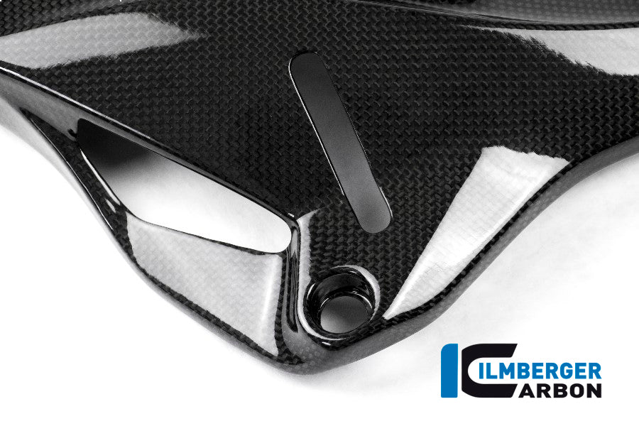 Glossy Carbon Side Panel Under The Frame Right Side Monster 1200 Ducati Monster 1200 S (2014-2016)