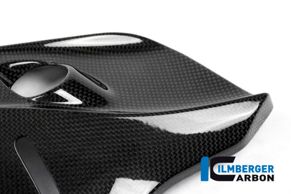 Glossy Carbon Side Panel Under The Frame Right Side Monster 1200 Ducati Monster 1200 S (2014-2016)