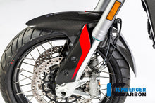 Voorspatbord glanzend carbon Ducati Multistrada 950 (2017-2018)