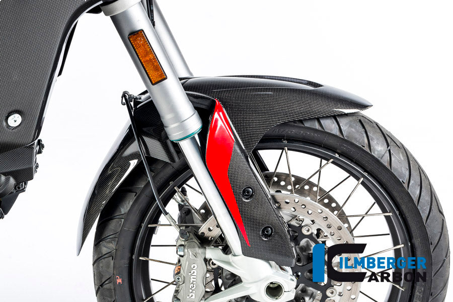 Voorspatbord glanzend carbon Ducati Multistrada 950 (2017-2018)