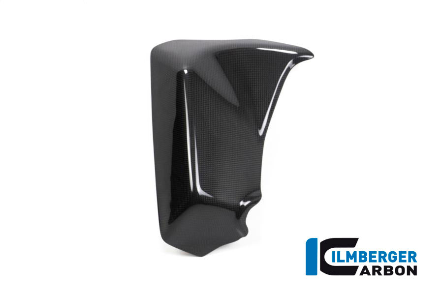 Zijkuip paneel Binnenste panel links glanzend carbon Ducati Multistrada 950S (2019-2021)