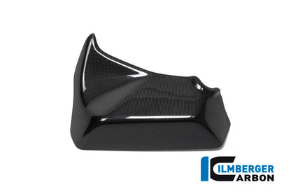Zijkuip paneel Binnenste panel links glanzend carbon Ducati Multistrada Enduro Pro 1260 (2019)