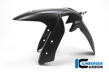 Voorspatbord mat carbon Ducati Multistrada 950 (2017-2018)