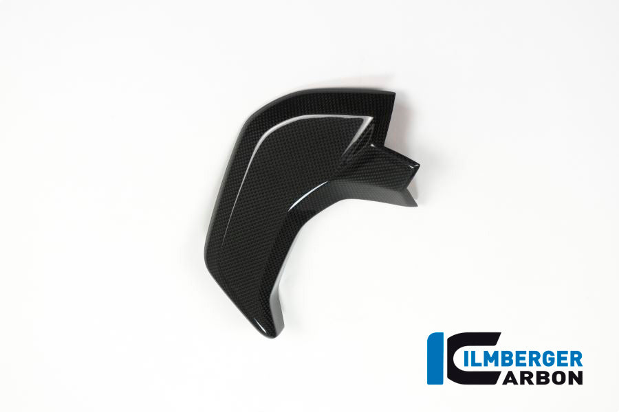 Binnenkuip links glanzend carbon Ducati Multistrada Enduro 1260 (2019-2021)