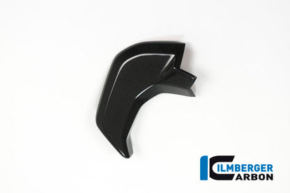 Binnenkuip links glanzend carbon Ducati Multistrada Enduro Pro 1260 (2019)