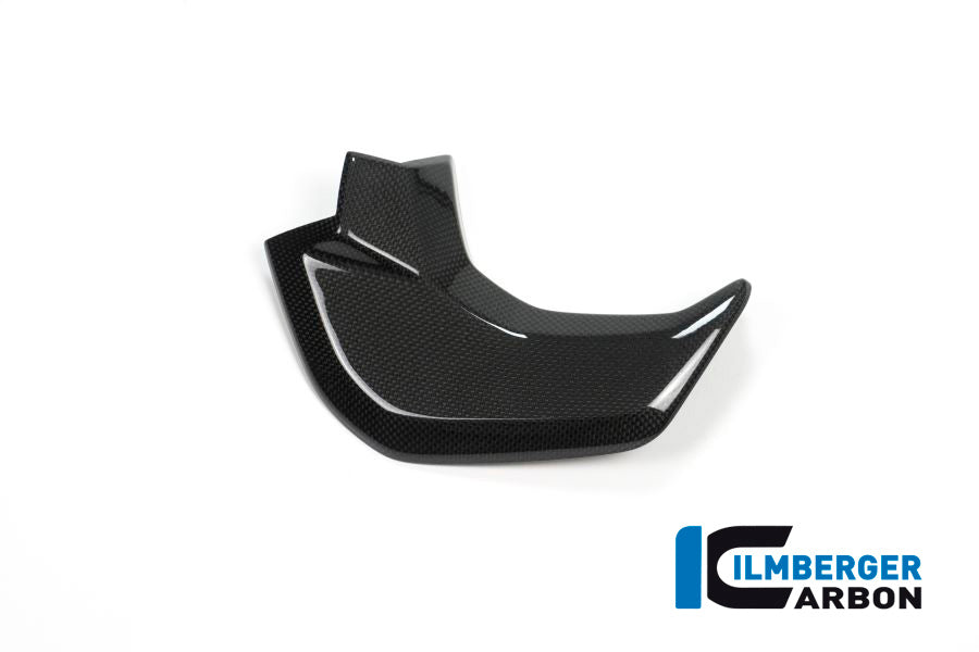 Binnenkuip links glanzend carbon Ducati Multistrada 950S (2019-2021)